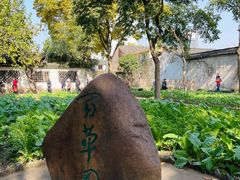 -绍兴鲁迅故里·沈园景区