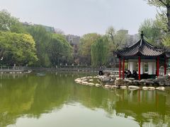 -莲湖公园