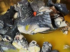 -Darling Queen·Mini·Live·House