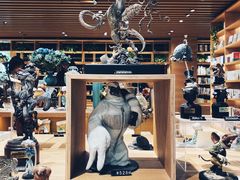 -G·SPACE(金鹰世界店)