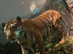 -陕西自然博物馆