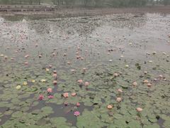 -仙山湖景区