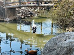 -临沂动植物园