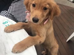 -FUTURE LOUNGE(太古里店)