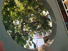 -喜识·冰糖葫芦·炒酸奶(西美花街店)