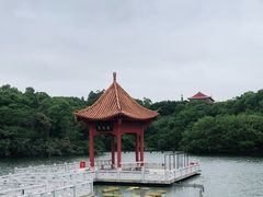 -广州莲花山旅游区