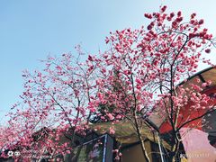 -昆明动物园