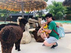 -西霞口神雕山野生动物世界