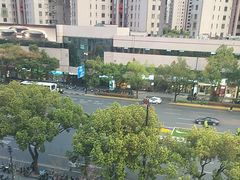 -望乡楼上海菜(日月光店)