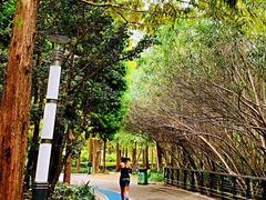 -苏州河梦清园环保主题公园