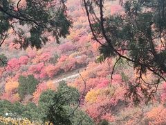-香山公园