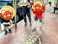 -海港城