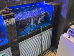 -鲜味食族水产·海鲜餐厅