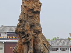 -许慎文化园