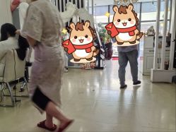 -博雅婚纱摄影(天富家园店)