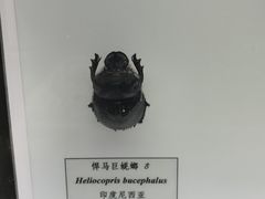 -汕头市博物馆