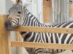 -水上乐园·欢乐世界