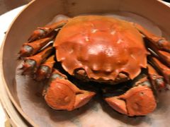 -南苑环球酒店云顶高级中餐厅(鄞县大道店)