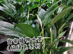 -宜家家居(哈尔滨商场店)