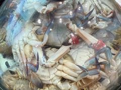 -王潮活海鲜自助·蒸汽海鲜