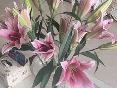 -宝鸡东道花鸟鱼虫市场(吉利花园商场店)