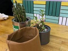-Green Option(官舍店)