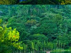 -小鱼草莓采摘园农家乐·小鱼餐厅