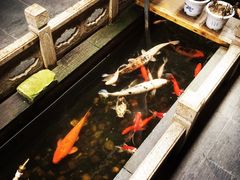 -唔呶喔哩酒家(生产街店)