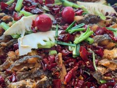 -老板恋上鱼(恒隆广场店)