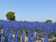 -汤记传菜(秀浦路店)