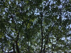 -苏州河梦清园环保主题公园