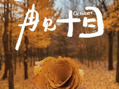 -沈阳市东陵公园