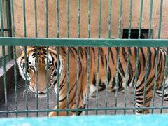 -揭东万竹园旅游景区