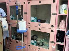-全心全意连锁动物医院·微创中心·内科急重症·心脏专科(丰管路店)