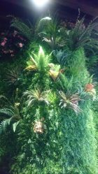 -V-STAR威斯达•高级私人定制