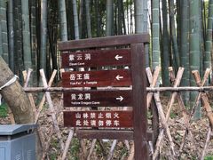 -杭州黄龙洞