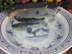 -南京金牛湖巨碗鱼头