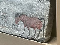 -敦煌市博物馆