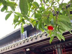 -口岸雕花楼