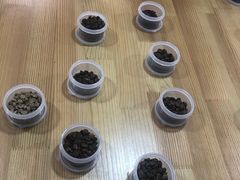 -星光摄影器材城