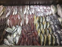 -深运潮州粥(东门店)