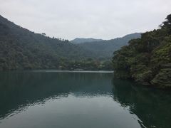 -鼎湖山风景区
