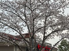 -南小馆(迪士尼小镇店)