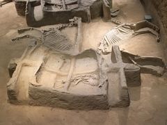 -洛阳周王城天子驾六博物馆