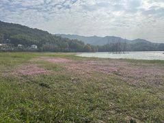 -塔川景区