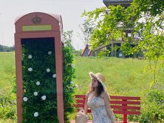 -杭州湾海上花田景区