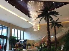-常州环球恐龙城维景国际大酒店