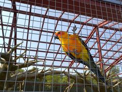 -武汉大学图书馆·文理学部总馆