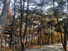 -北京鹫峰国家森林公园