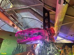 -悉尼海洋生物水族馆
